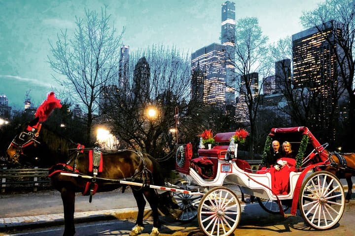 VIP Horse Carriage Ride Through Central Park — Private 1-Hour Tour photo 5