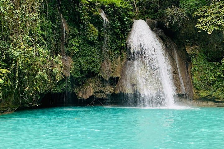 Cebu Oslob Whalesharks, Sumilon Island & Kawasan Falls: A Full-Day Marine and Falls Adventure photo 3