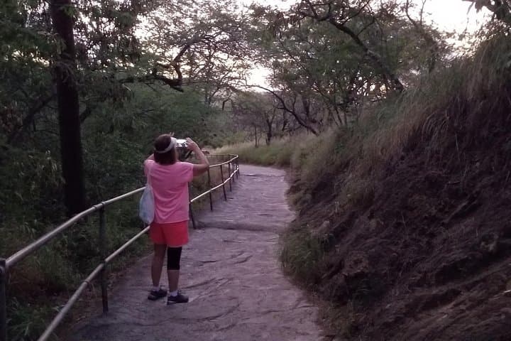 Diamond Head Hike: Self-Guided Summit Tour & Waikiki Views photo 4