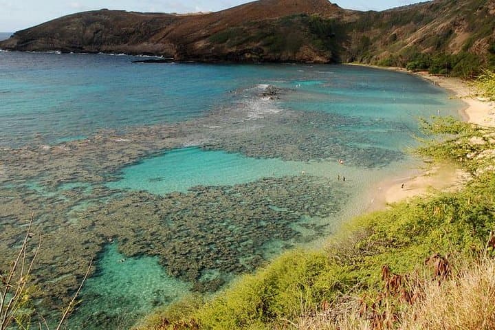 Hanauma Bay Snorkeling from Waikiki: Best Times, Tips & What to Expect photo 2