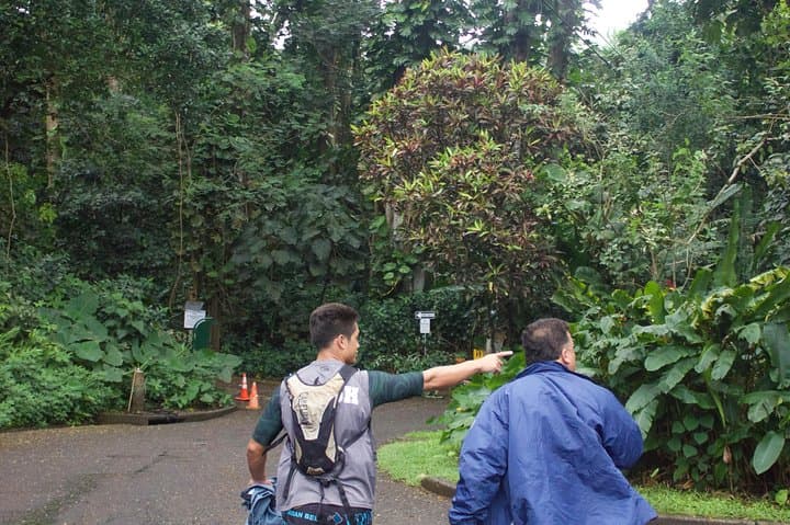 Manoa Falls Self-Guided Hike: Shuttle from Waikiki to a 150-Foot Waterfall photo 4