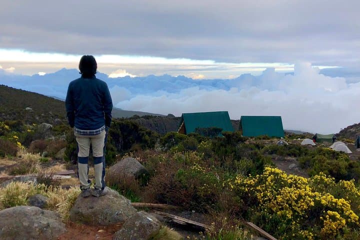 Climb Kilimanjaro via the Marangu Route: A Practical Guide to Africa’s Highest Peak photo 4