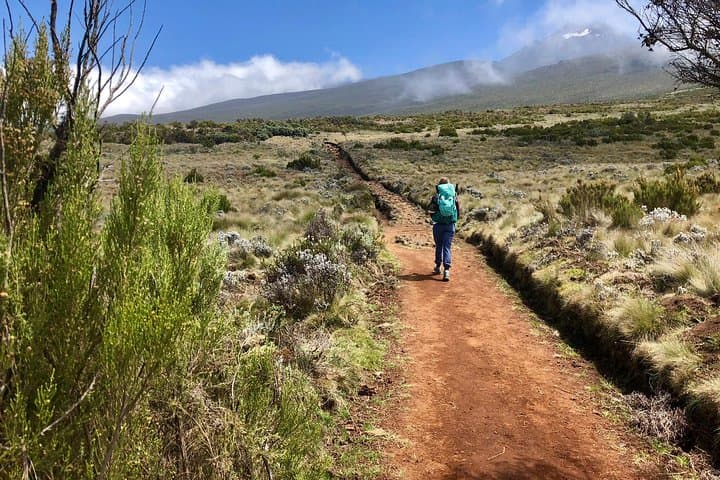 Climb Kilimanjaro via the Marangu Route: A Practical Guide to Africa’s Highest Peak photo 6