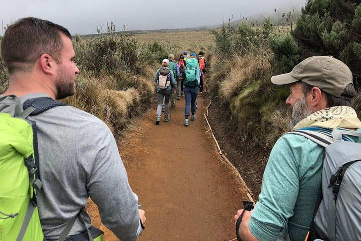 Climb Kilimanjaro via the Marangu Route: A Practical Guide to Africa’s Highest Peak photo 3