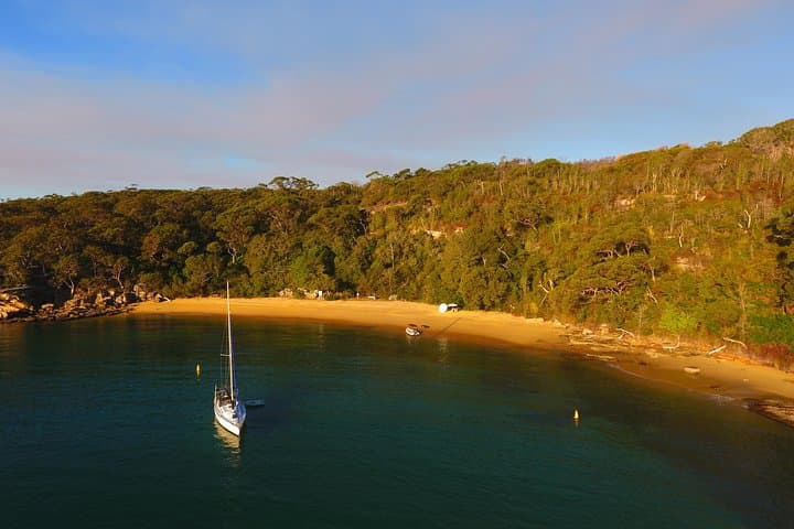 Explore North Harbour: 4-Hour Single Kayak Hire from Manly photo 3