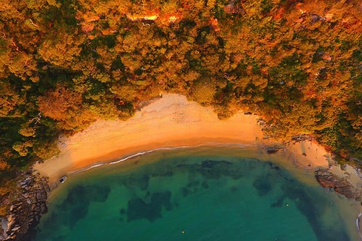 Explore North Harbour: 4-Hour Single Kayak Hire from Manly photo 5