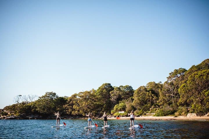 Manly North Harbour Stand Up Paddle Board Hire — 2-Hour SUP Rental photo 6