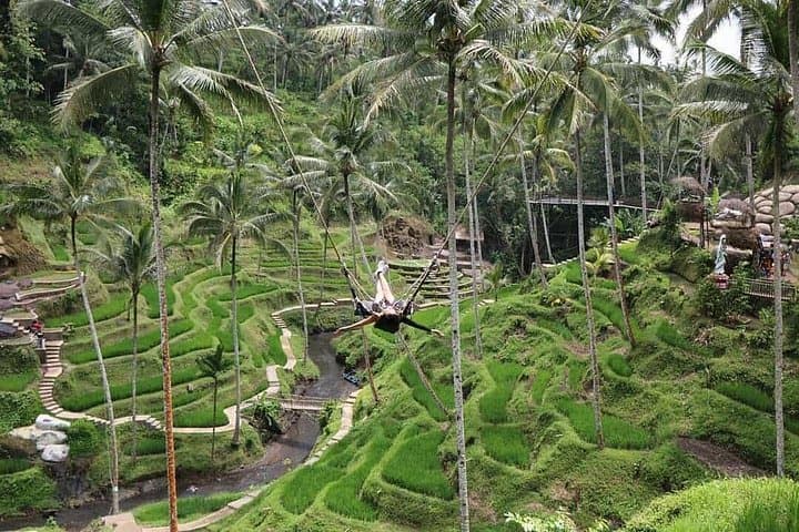 Bali Spotlight Tour: Tibumana Waterfall, Tirta Empul & Mount Batur View photo 3