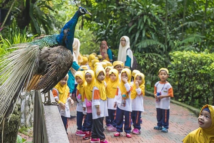 Exploring Kuala Lumpur Bird Park & Butterfly Farm: Free-Flight Aviaries and Tropical Butterflies photo 2