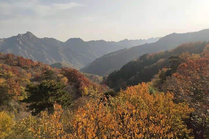 Mutianyu Great Wall Private Tour from Beijing — Tea House Experience & Scenic Walk photo 4