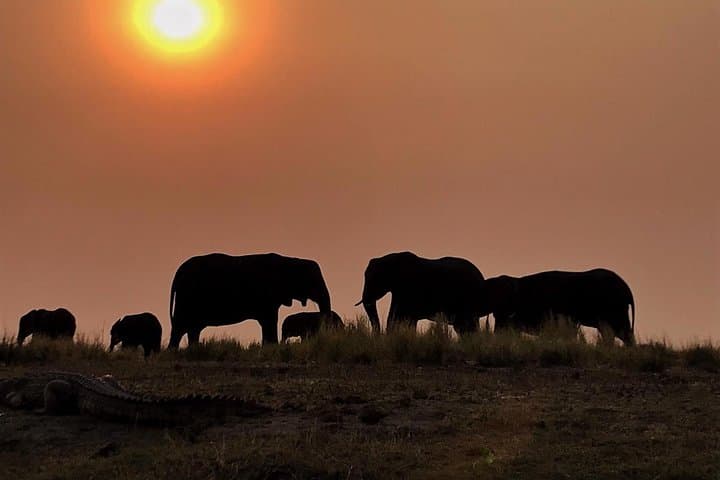 Chobe National Park 1-Night Camping: Kasane Safari Under Canvas photo 5