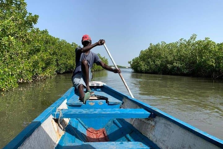 Makasutu Cultural Forest & Mandinga Bolong Canoe Ride — Brikama, The Gambia photo 2