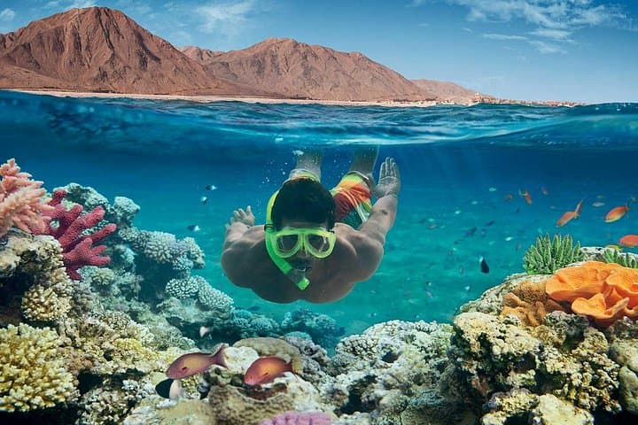 Orange Bay Snorkeling from Hurghada — Day Sail to Turquoise Reefs photo 4
