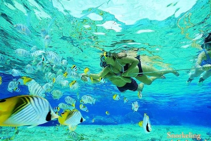 South Bali White Sand Beaches & Uluwatu Temple Private Day Tour photo 6