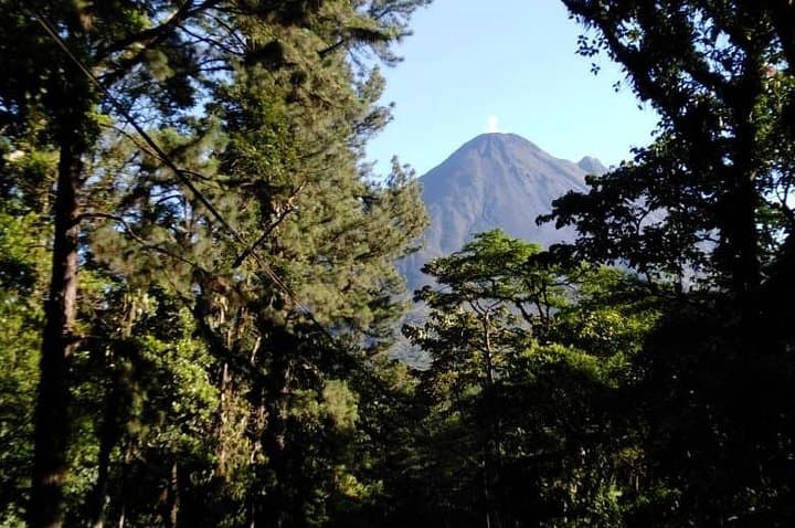 Walking the 1968 Lava Flow: Arenal Volcano Guided Hike from La Fortuna photo 4