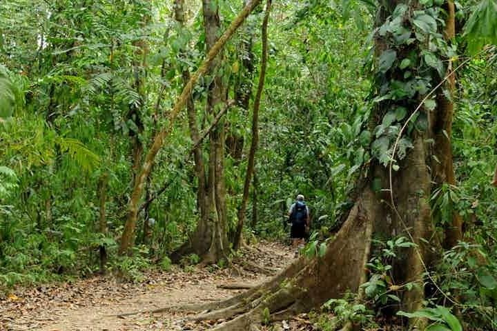 Walking the 1968 Lava Flow: Arenal Volcano Guided Hike from La Fortuna photo 6