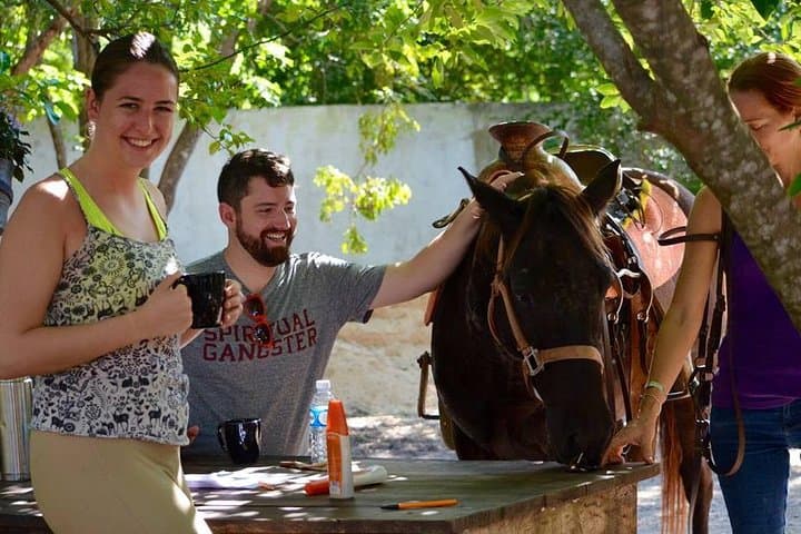 Playa del Carmen Rancho Horseback Ride — 90-Minute Jungle Trail Experience