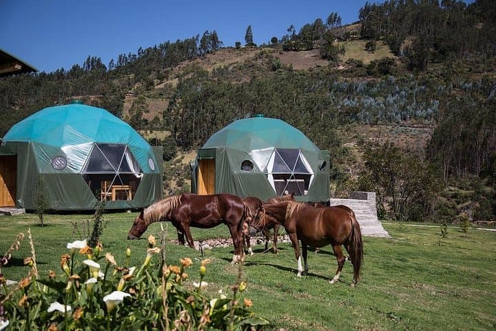 Salkantay Trek to Machu Picchu: 5-Day High-Altitude Trek through Glacier and Cloudforest photo 4
