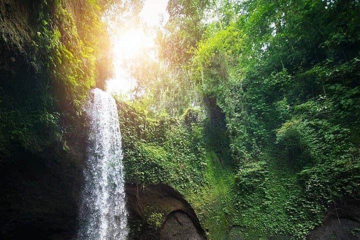 Ubud Day Tour: Monkey Forest, Rice Terraces, Tegenungan Waterfall & Tirta Empul photo 3