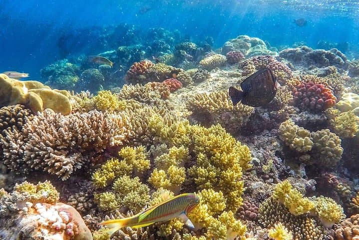 Ain Sokhna Day Trip: Relaxing Red Sea Escape from Cairo photo 5
