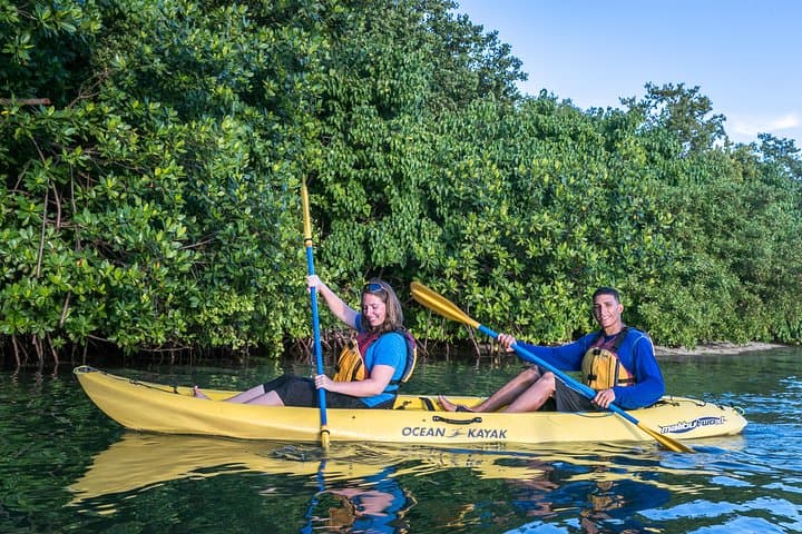 Night Kayak the Bio Bay: Laguna Grande Bioluminescent Tour from San Juan photo 3