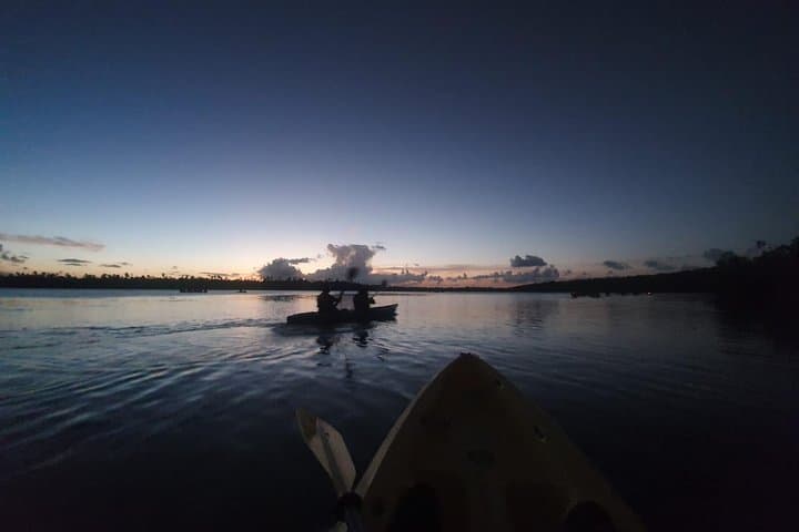 Night Kayaking the Bioluminescent Laguna Grande in Fajardo