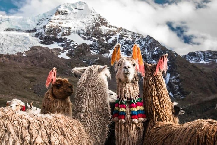 Ausangate Trek: 5-Day High Pass Circuit Around Apu Ausangate
