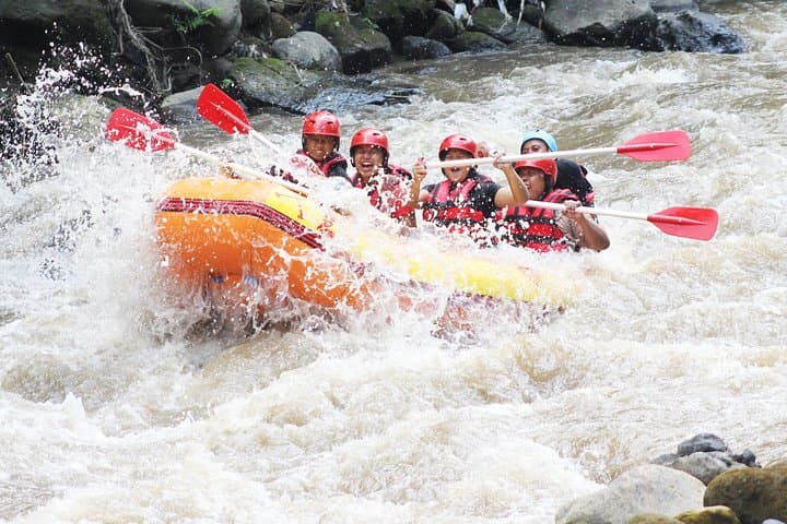 Ayung River Half-Day White-Water Rafting from Ubud — Rapids, Waterfalls & Lunch photo 4
