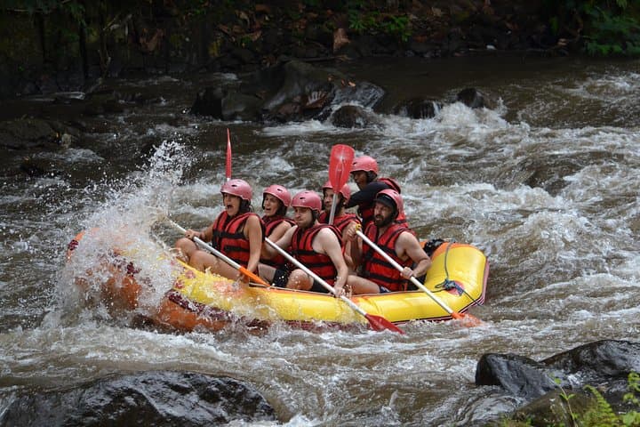 Ayung River Half-Day White-Water Rafting from Ubud — Rapids, Waterfalls & Lunch photo 5