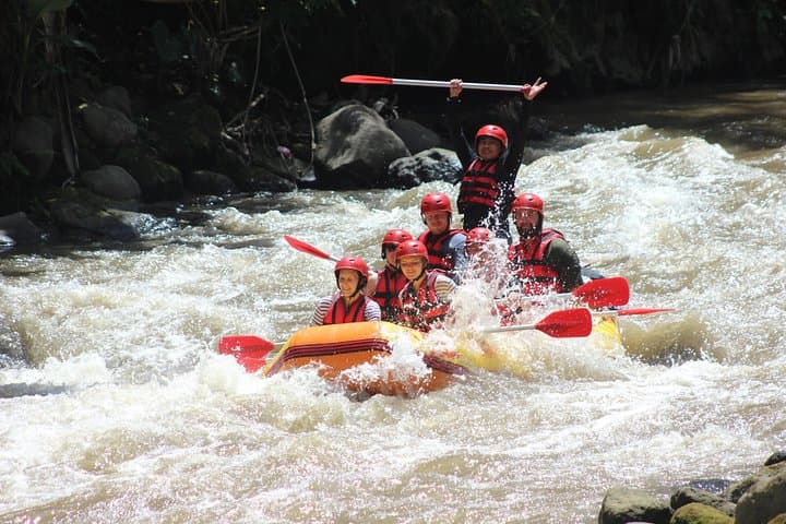 Ayung River Half-Day White-Water Rafting from Ubud — Rapids, Waterfalls & Lunch photo 6