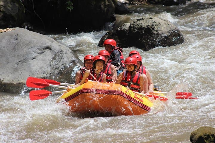Ayung River Half-Day White-Water Rafting from Ubud — Rapids, Waterfalls & Lunch