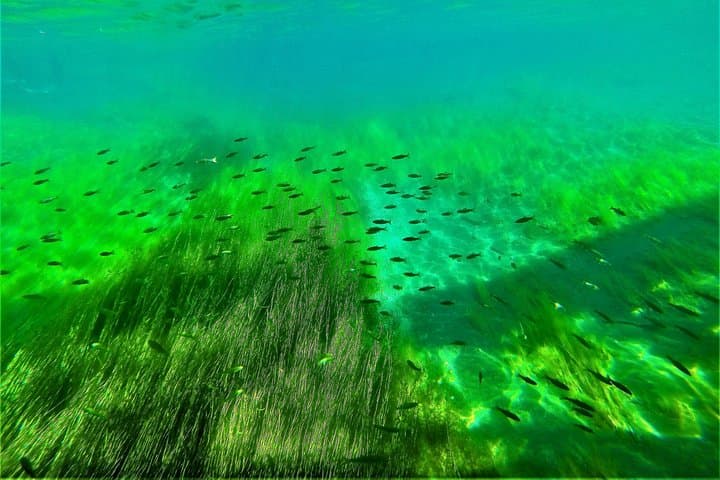 Clear Kayak on Lake Shikotsu — Hokkaido's Crystal-Water Paddle Tour photo 4
