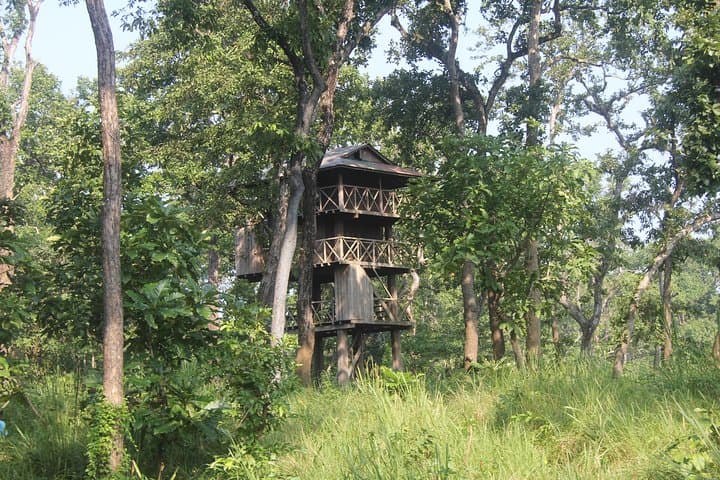 Jungle Tower Night Stay in Chitwan National Park — 2-Night Immersive Wildlife Package