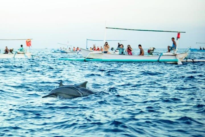 North Bali Dolphin Tour: Lovina Dolphins, Aling-Aling Waterfall & Ulun Danu Beratan photo 3