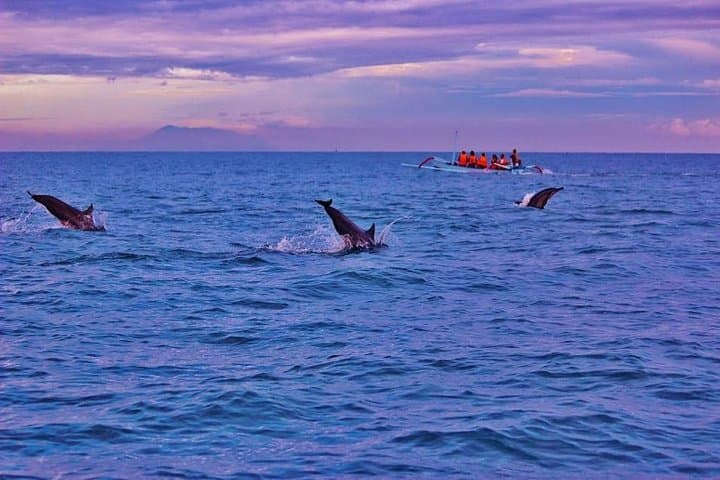 North Bali Dolphin Tour: Lovina Dolphins, Aling-Aling Waterfall & Ulun Danu Beratan photo 4