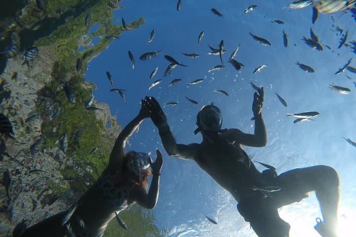 Private Phi Phi Islands Speedboat Charter from Khao Lak — Full-Day Snorkel & Beach Tour photo 4