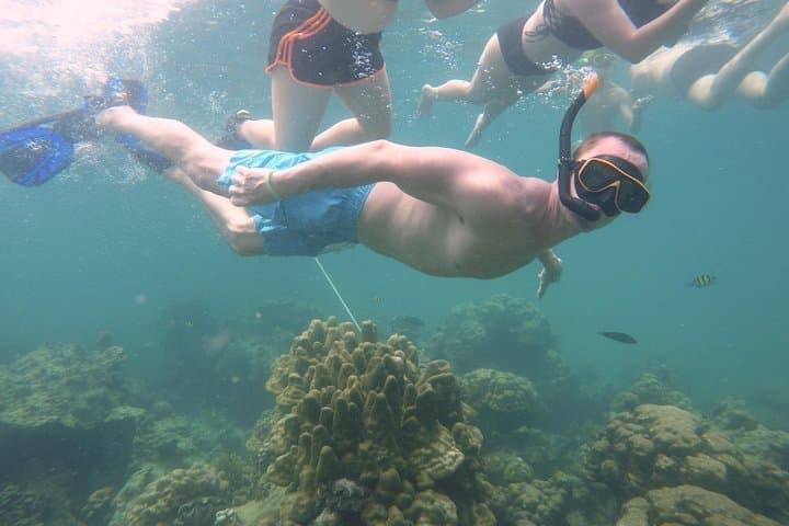 Private Phi Phi Islands Speedboat Charter from Khao Lak — Full-Day Snorkel & Beach Tour photo 6