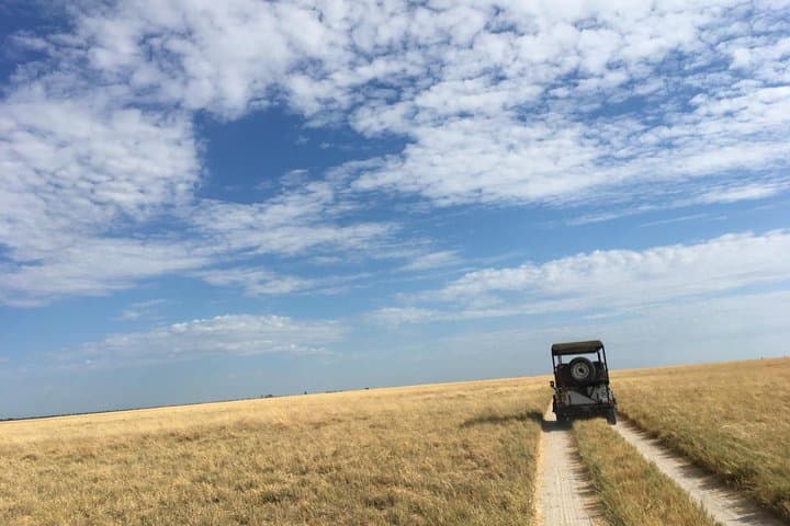 Sleep Under the Stars: Makgadikgadi Pans Overnight from Kasane photo 5