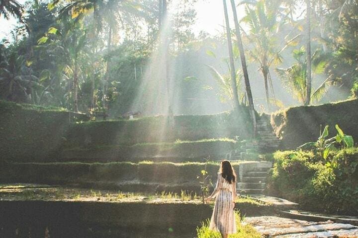 Full-Day Ubud Private Tour: Monkey Forest, Tegalalang & Tirta Empul Guide photo 3