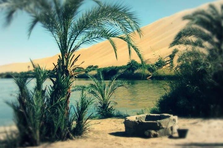Desert Camping with Bedouins in Egypt's White & Black Deserts photo 3