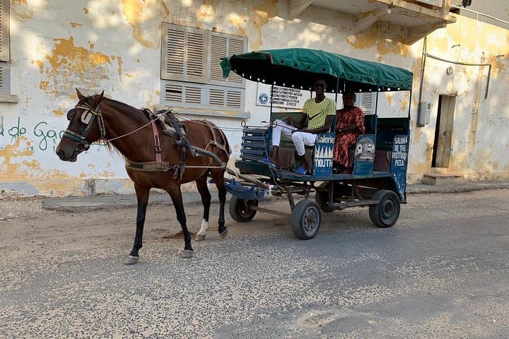 Senegal Highlights: 5-Day Dakar, Pink Lake & Lompoul Desert Adventure photo 6