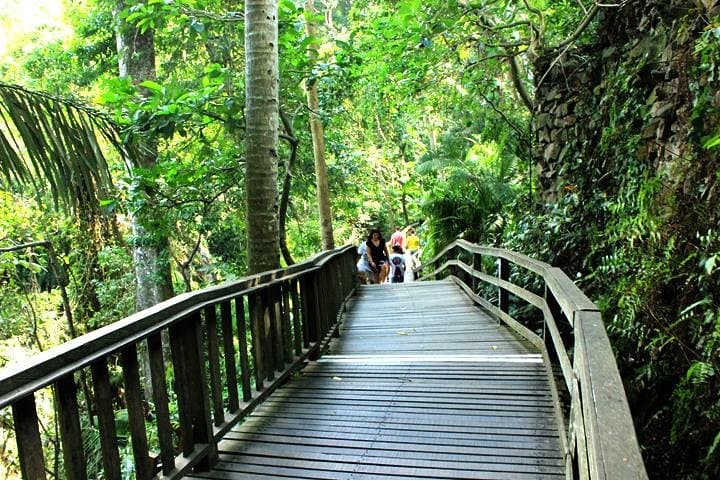 Ubud Jungle Swing & Cultural Day Tour — Rice Terraces, Monkey Forest, Temple Baths, Waterfall photo 6