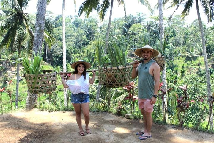 Ubud Jungle Swing & Cultural Day Tour — Rice Terraces, Monkey Forest, Temple Baths, Waterfall