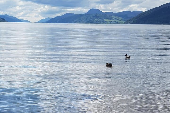The Quieter Side of Loch Ness: Private Forest Walks, Waterfalls & Hidden Shores photo 3