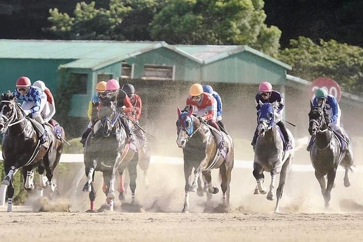 Nagoya Official Gambling Tour: Horse Racing, Keirin & Pachinko Experience photo 1