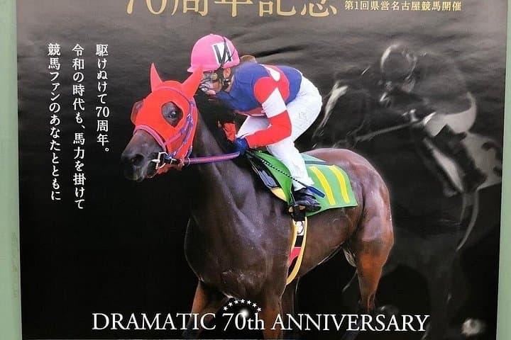 Nagoya Official Gambling Tour: Horse Racing, Keirin & Pachinko Experience photo 2