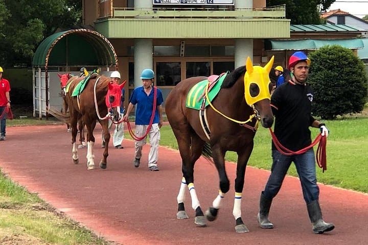 Nagoya Official Gambling Tour: Horse Racing, Keirin & Pachinko Experience photo 3