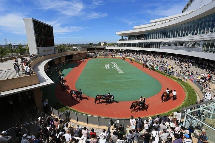 Nagoya Official Gambling Tour: Horse Racing, Keirin & Pachinko Experience photo 4