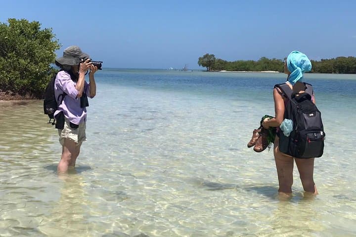 Holbox Classic 3-Island Boat Tour: Punta Mosquito, Passion Island & Yalahau Cenote photo 5