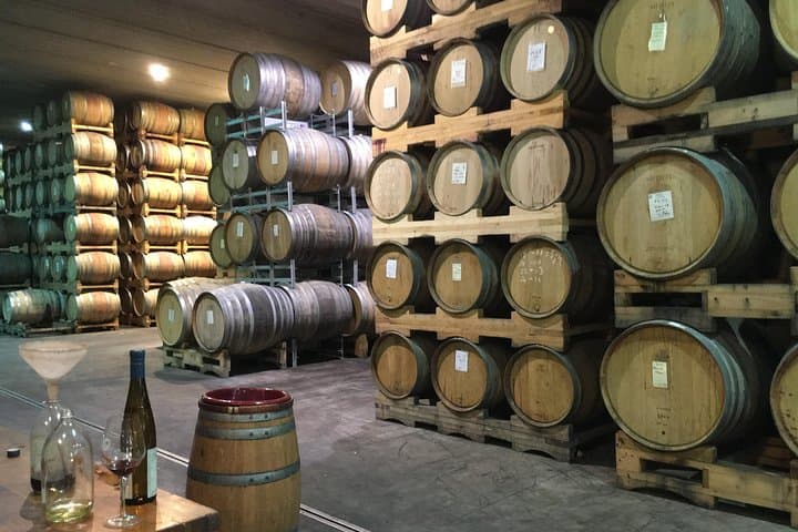 Christchurch wine trail and city tour — boutique wineries, Port Hills & gourmet lunch photo 6